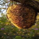 El maravilloso mundo de las abejas